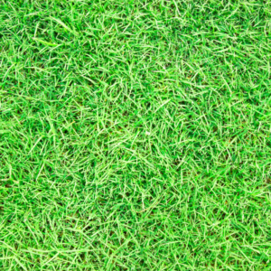 Football Turf & Multi-purpose usage.