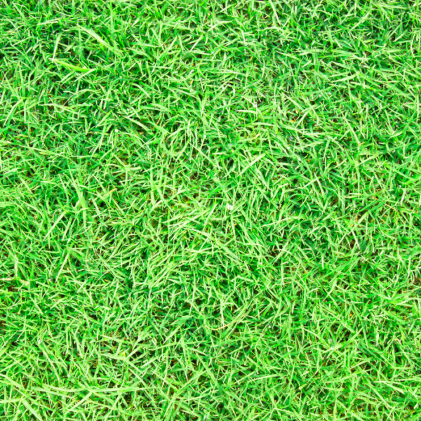 Football Turf & Multi-purpose usage.
