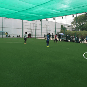 Play Ground Net
